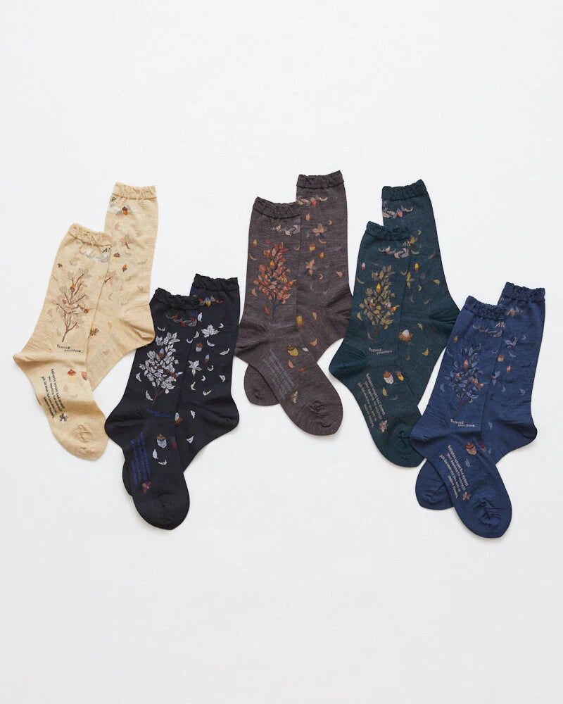 Wind & The Acorn Tree, Black