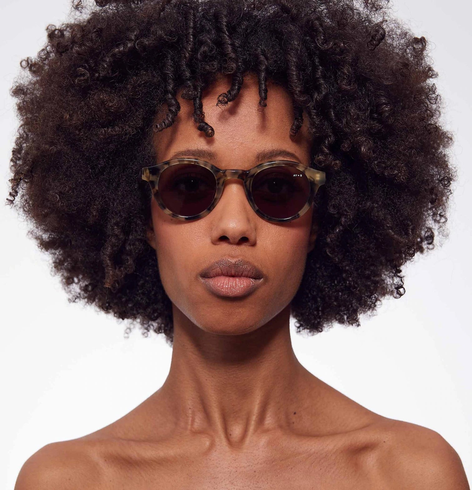 Noble, Confidential Havana